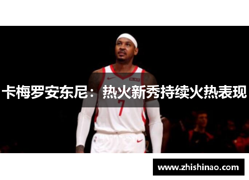 卡梅罗安东尼：热火新秀持续火热表现